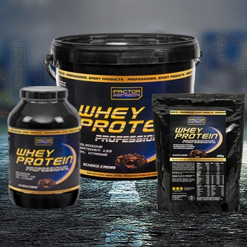Whey Protein Professional