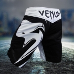 Wanderlei Silva Wandshadow Fightshorts